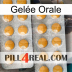 Gelée Orale levitra2